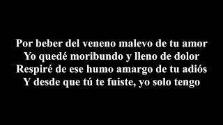 Juanes - La camisa negra + lyrics\/letra