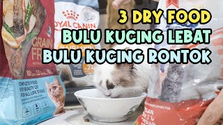 3 Makanan Kucing (Dry Food) Untuk Melebatkan Bulu & Mengurangi Bulu Kucing Rontok