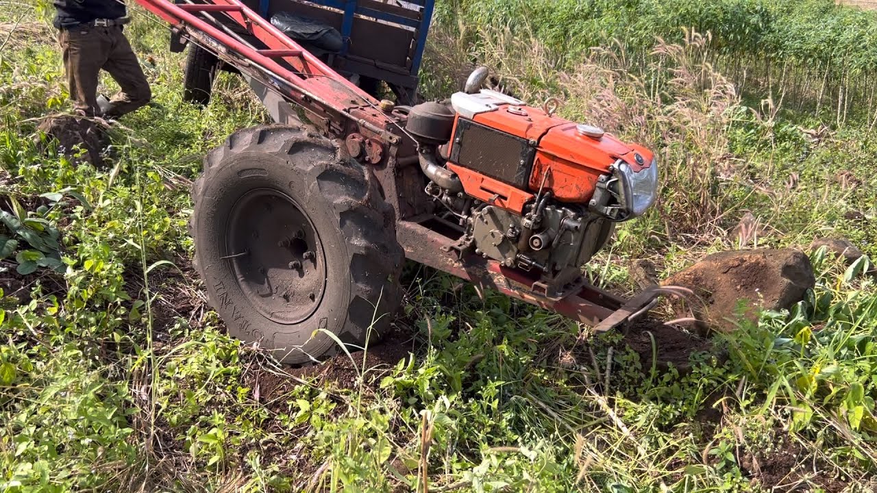 មកដឹកដំឡូងមីនៅលឺភ្នុំដើមដំឡូងមីកាឡាកាស់