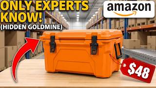 7 Amazon Coolers EVERYONE IGNORES (But They're Absolute GOLDMINES)
