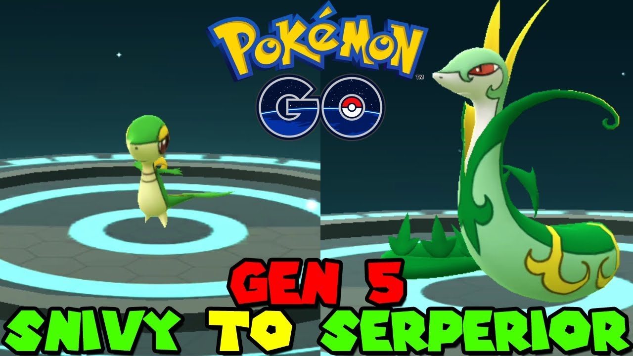 Evolving SNIVY TO SERPERIOR IN POKEMON GO GEN 5