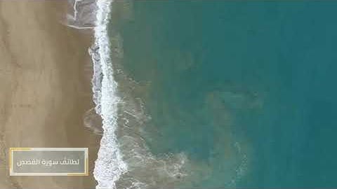 لطائف سورة القصص.