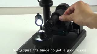 Tutorial of the Digital Girdle Inscription Viewer