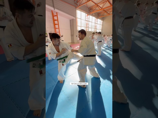 Cristian Boldut Fight Camp 2026 #kyokushin #shinkyokushin #karate #1kyokushin #一極真 #極真会館