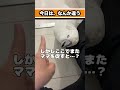 いつもなら行くのに…ママの足を見つめ続けるゆきまる氏 #shorts