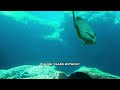 Sea Lion Deep Sea Diving Capabilities Explained - Evolutionary Adaptations