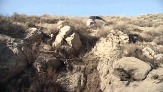 Smart Fortwo  Spot Offroad - Mercedes-Fans.de