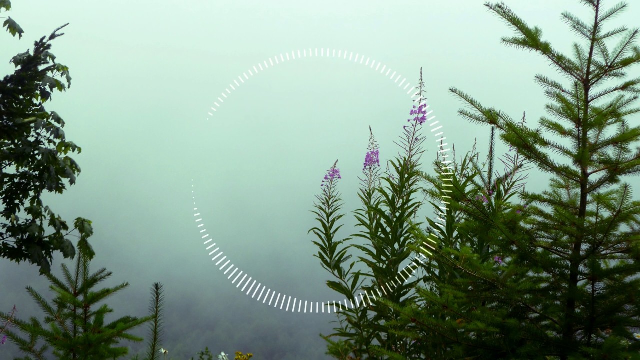 The Rare Trance Collection: Longy - Spiegelsaal (Progressive Mix) - Classic Trance