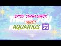 ♒AQUARIUS | True Calling Spread| Your Healer Vibes are On! | May weekly 2026 | Spicy Sunflower Tarot