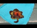 Three Ontario knitters work on a COVID-19 memorial blanket to honour the lives lost from the virus