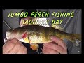 Underwater HD Footage Of Michigan Ice fishing Perch and walleye.