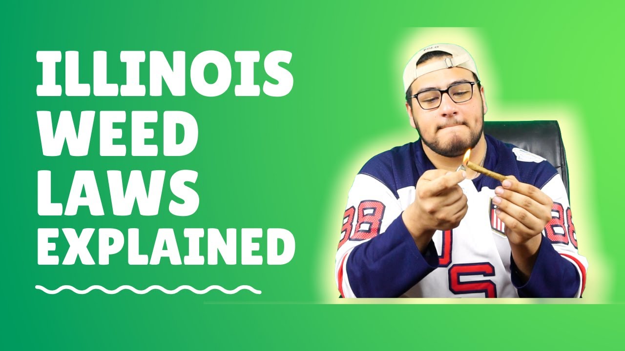 Weed Laws Explained Rolling a Swisher Sweet YouTube