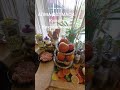 #готовимподомашнему #кулинария #food