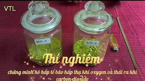 Thí Nghiệm Chứng Minh Hô Hấp Tế Bào Hấp Thụ Khí Oxygen Và Thải Khí Carbon dioxide| KHTN 7