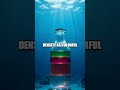 The Quiet Rainbow in a Jar: Layered Density at Home