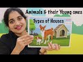 Kidzee Online Preschool Learning | How to teach Animals & their Young ones & Types of Houses to kids