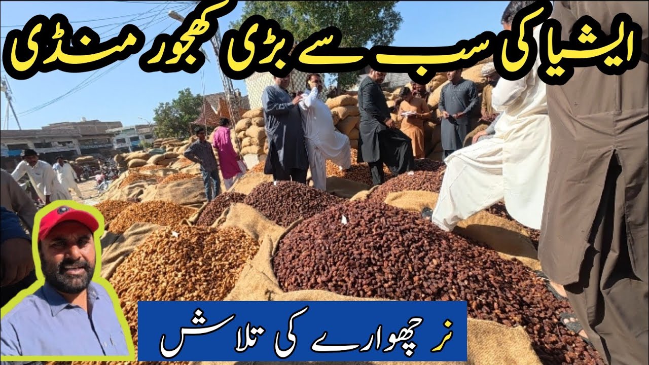 Asia largest Khajoor Mandi Date palm in Sukkur best dates in Pakistan Sukkur and khairpur famous 