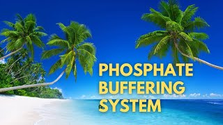 Phosphate Buffering System 
