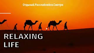 Подписывайся на канал.Расслабляйся.Отдыхай.Смотри