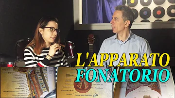 Qual è il principale organo della fonazione?
