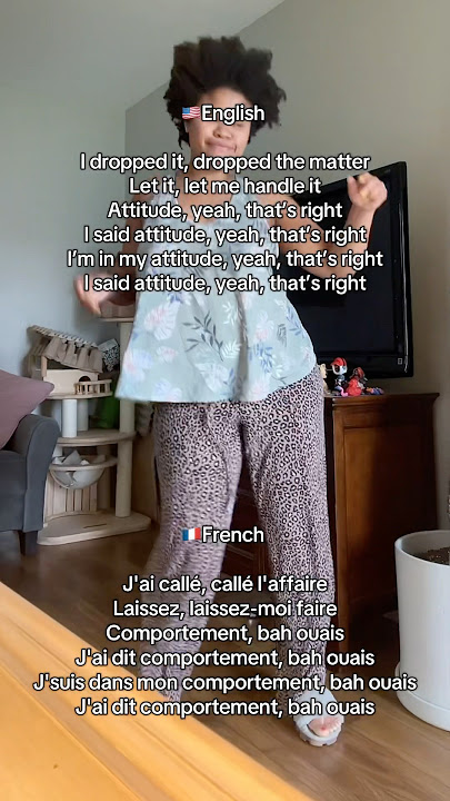 🇫🇷🇺🇸 Comportement by @Aya Nakamura lyrics translated to English