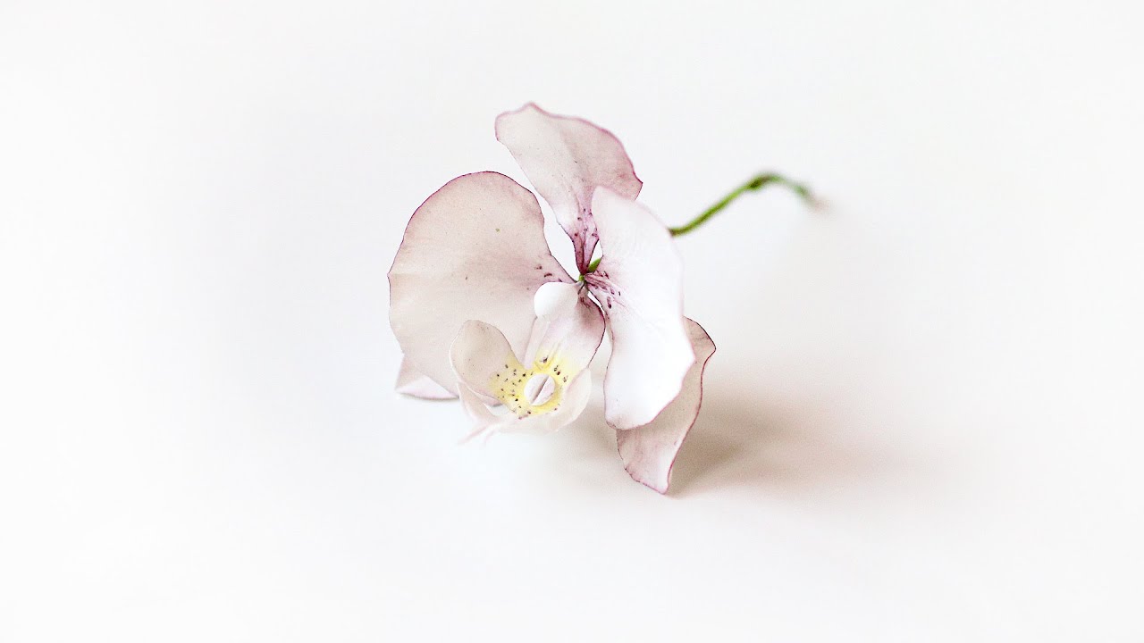 Цветы из мастики Орхидея фаленопсис | Цветы для торта своими руками | Профессия КОНДИТЕР