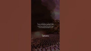الله نور السموات والأرض... أجمل حالات واتساب قرآن كريم بصوت ماهر المعيقلي #قناة_نخوة_للفوائد