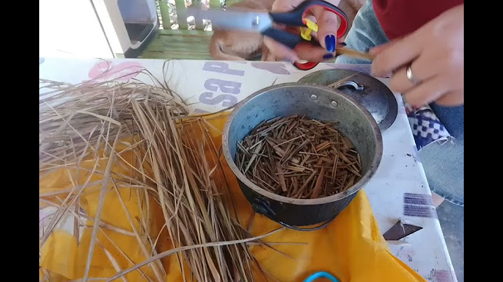 How to make a paper using a Cogon grass