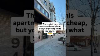 Not Always In Brooklyn 😜😇 Resimi