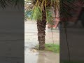 khatarnak tufani Barish astaghfirullah allahu Akbar#youtube #vlog
