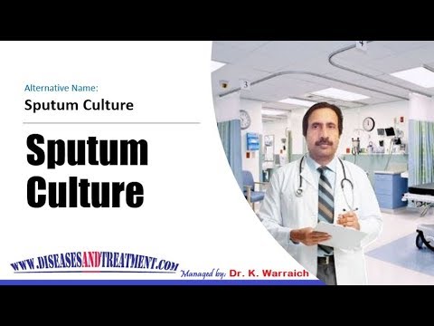 sputum culture what is the purpose of the test