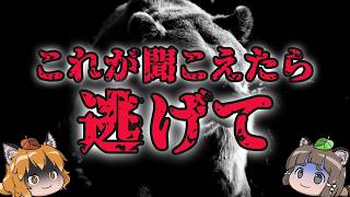 【注意】知るとゾッとするクマのヤバい話6選｜はぐれ子グマを見つけたら…
