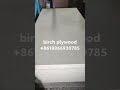 birch plywood