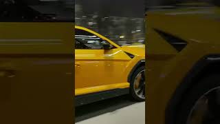 Best color of Lamborghini urus 😍🔥