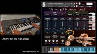 VG Trumpet Harmon muted NI Kontakt sample library. Articulations and effects. Brass, orchestral vst.
