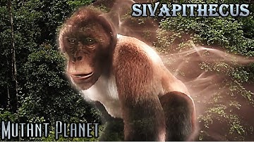 mutant Planet Sivapithecus screen time