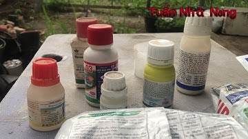 Chia sẻ về cách nhận biết độ độc hại của thuốc bvtv