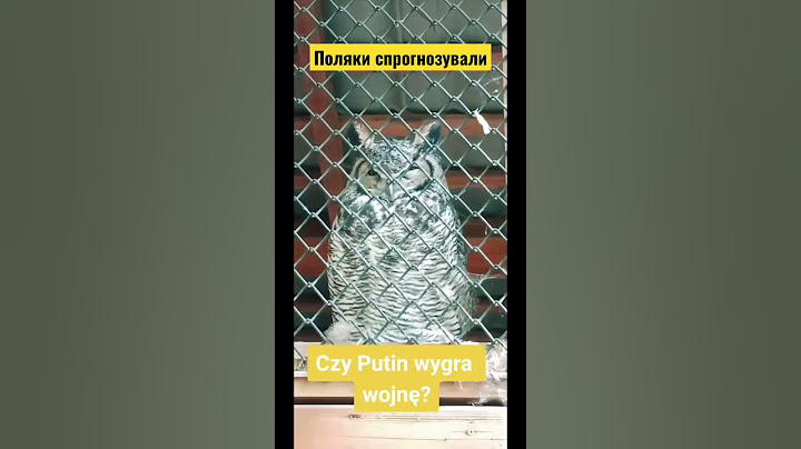 Поляки відповіли чи Путін виграє війну #short #shorts