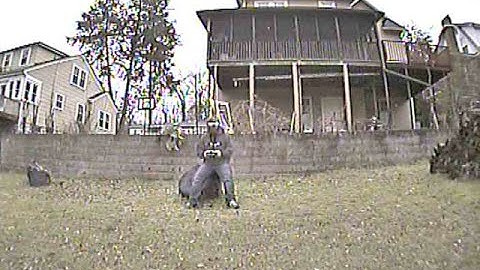 TBS Gemini First Serious FPV Crash