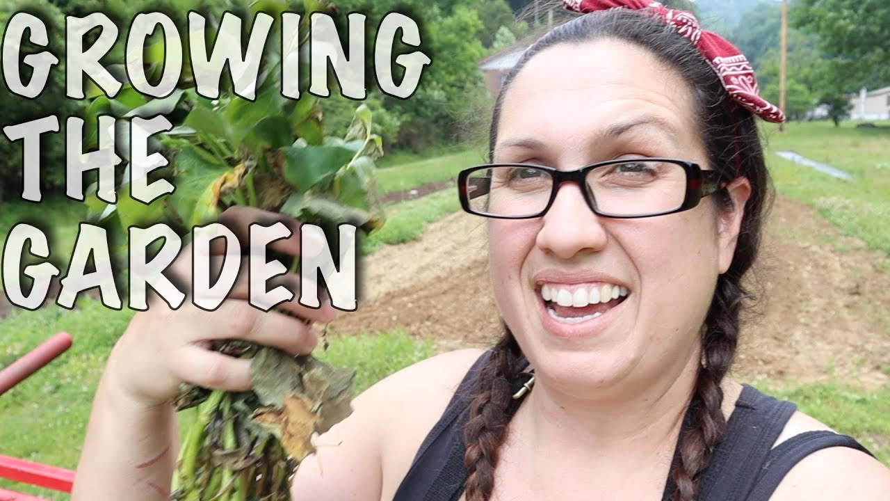 Garden Fun & Sweet Potato Slips Homestead Garden VLOG YouTube