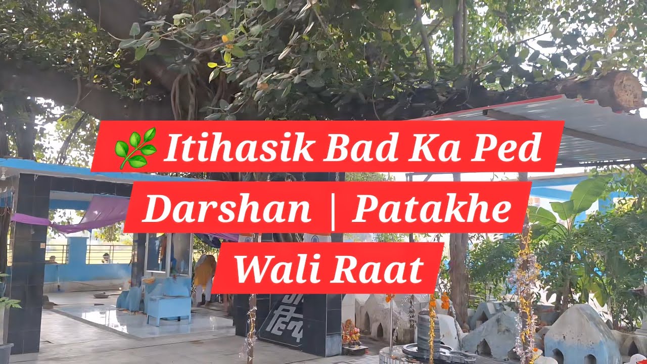 🌿 Devpitr Ki Pooja | Itihasik Bad Ka Ped Darshan & Raat Ki Patakhe Wali