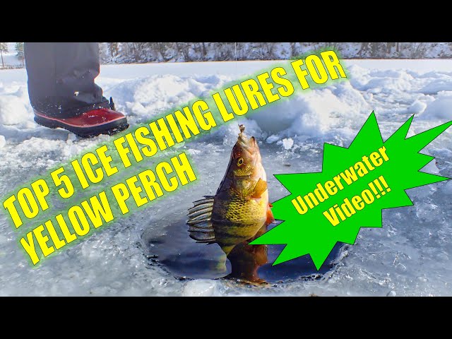 Top 5 Perch Ice Fishing Lures [Underwater Video] 