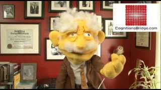 Cognitions Bridge Heart And Head Connection Prof Hans Von 6