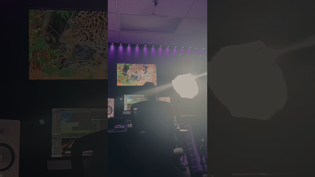 The Jaguar Piano Concerto 👑