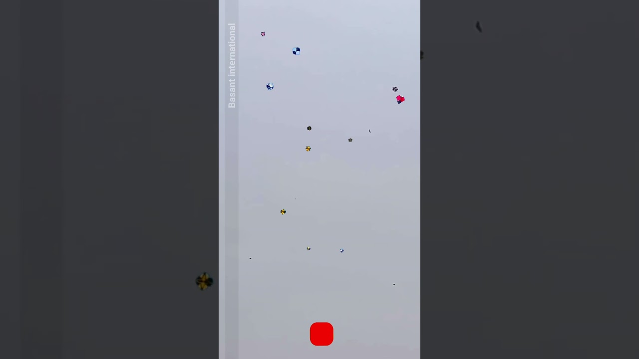 Rawalpindi Famous Basant kite flying patang bazi 