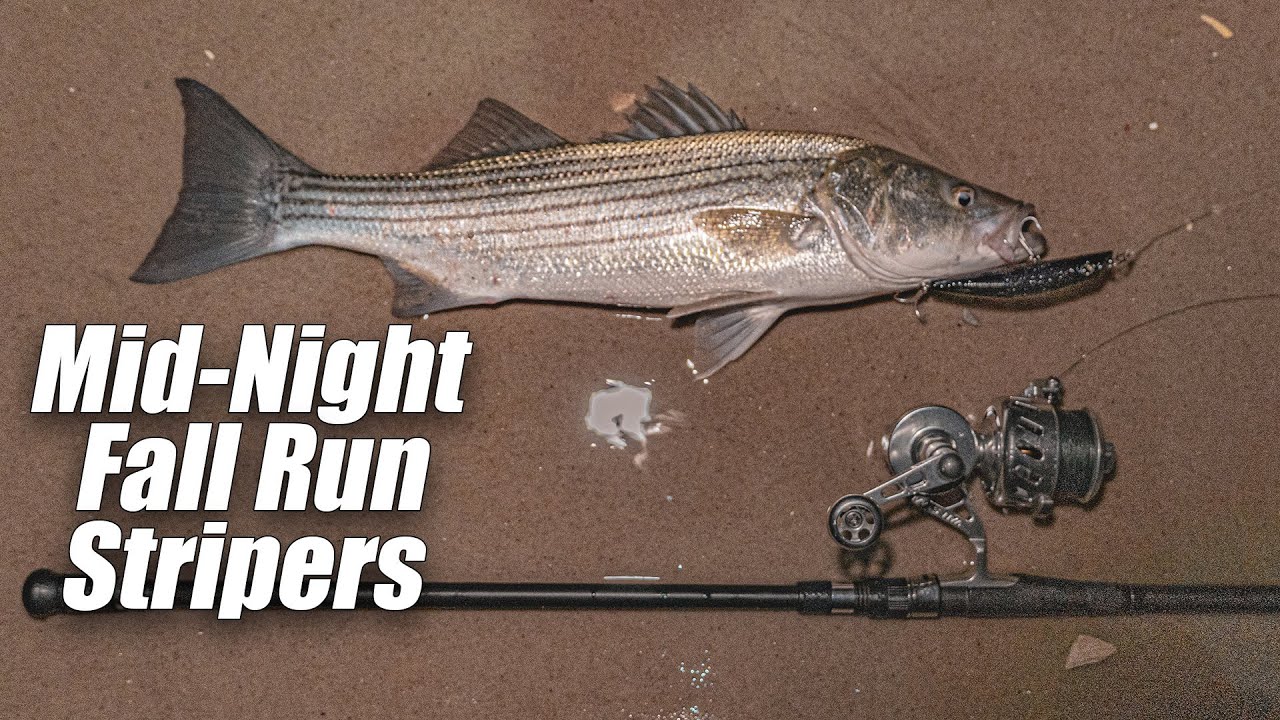 Mid Night Striped Bass Surf Fishing Sandy Breaks with Full Moon and