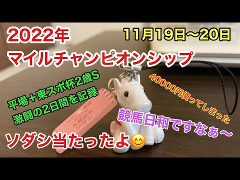 【2022年マイルチャンピオンシップ】平原＋重賞　競馬で40000円勝負　ソダシが当たった！！！　11月19日20日