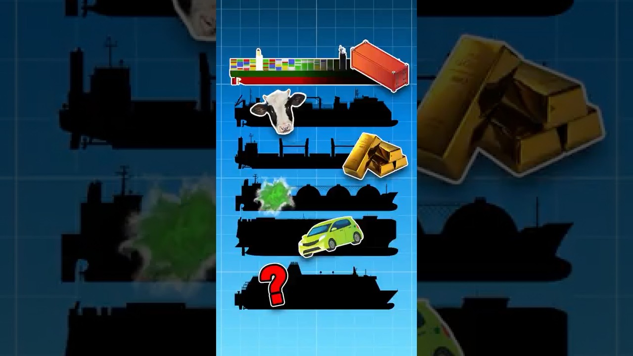Why ONE Cargo Ship Is NOT Enough