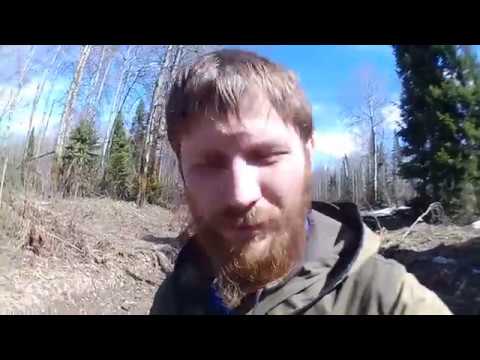 Трофи Рейд Видео Ютуб