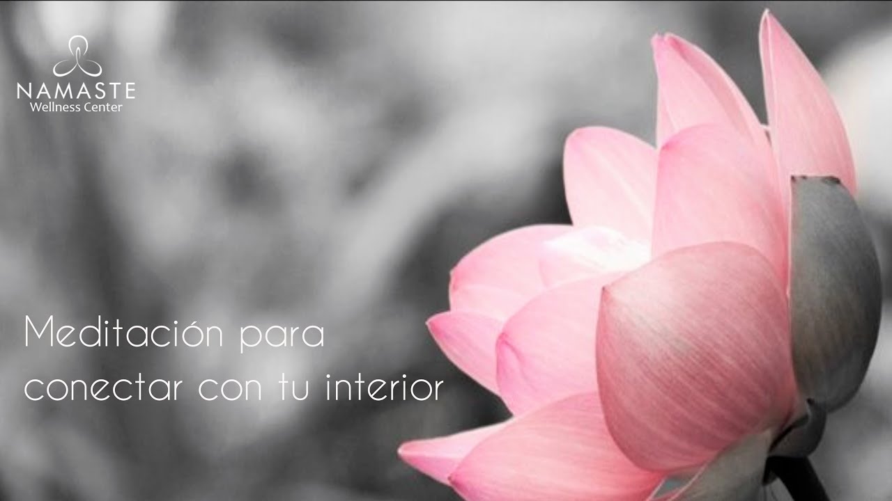 MEDITACIÓN PARA CONECTAR CON TU INTERIOR - YouTube